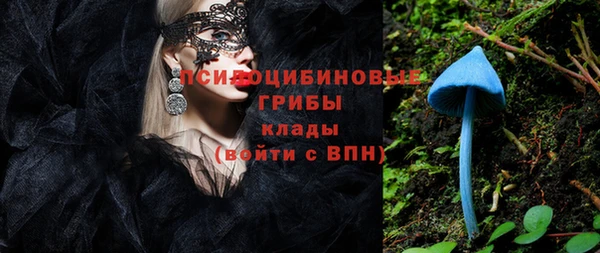 экстази Каменногорск