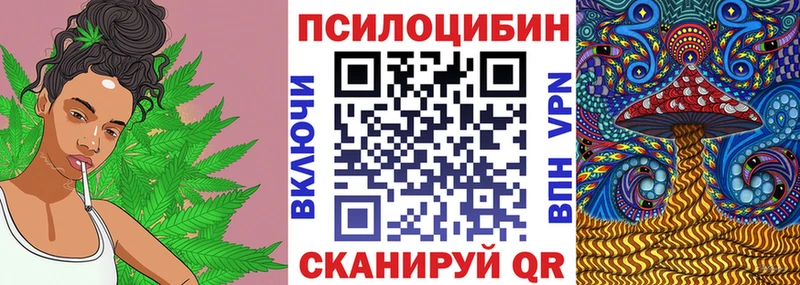 Галлюциногенные грибы мухоморы  Купить закладки  Новая Ладога 